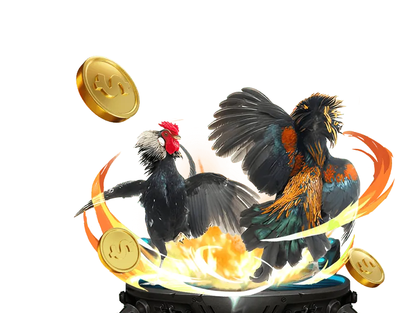 Lợi ích khi chọn Kubet